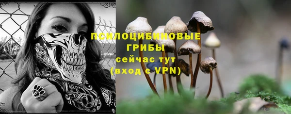 MDMA Бородино