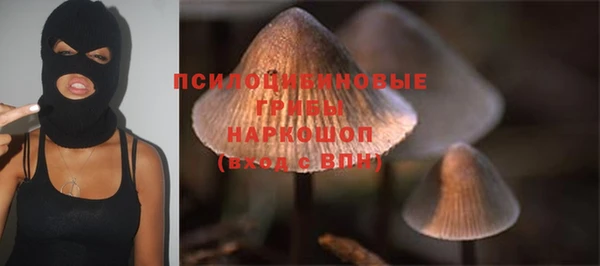 MDMA Бородино