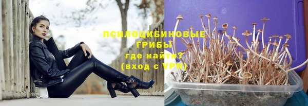 mdpv Бронницы