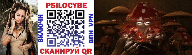 Купить  Троицк  Псилоцибиновые грибы Psilocybine cubensis 