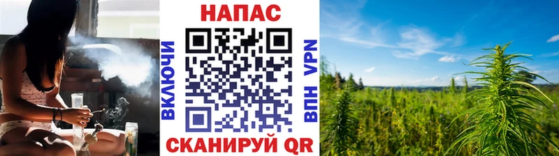 Купить Троицк Бошки марихуана Bruce Banner